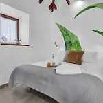 Casa De Teja * La Orotava